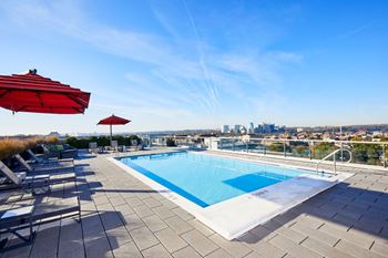 Sparkling rooftop pool with sundeck and private cabanas